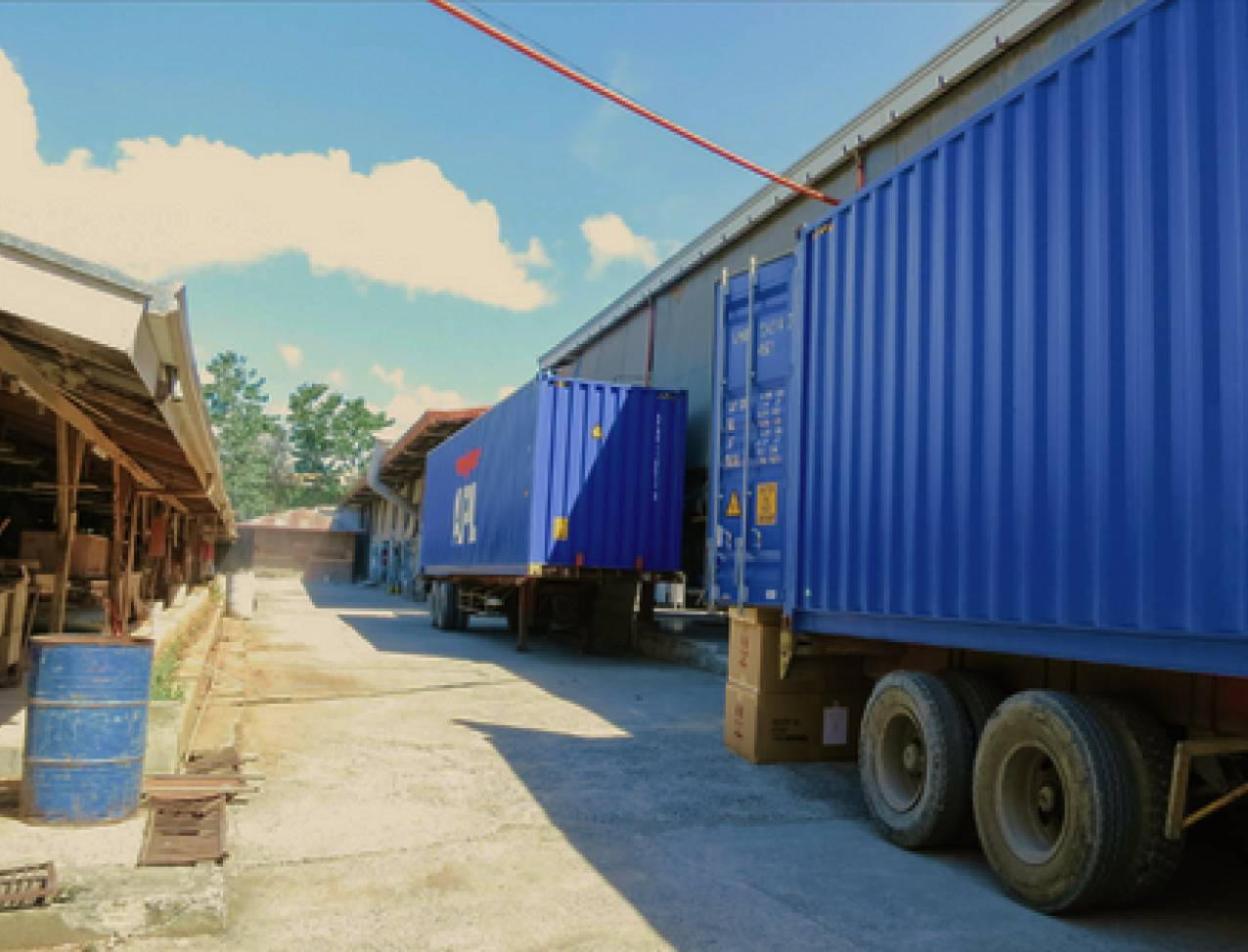 Global Standards, Local Strength